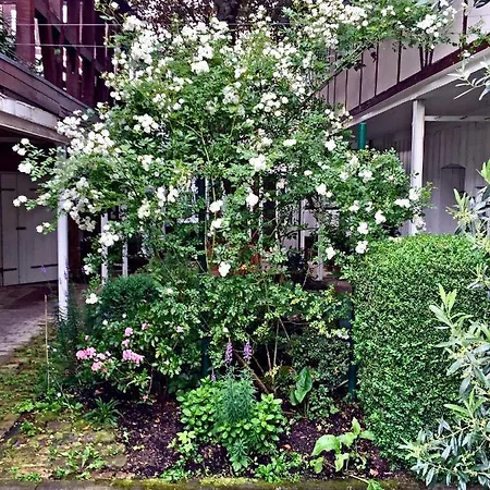 Dr. Fabian Und Christine Drube Apartment Immenhausen Exterior photo